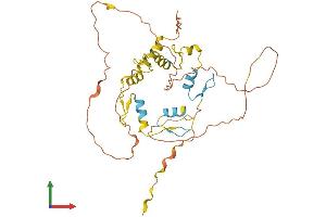 AlphaFold protein structure predicition of Human Recombinant SCRT1 Protein, UniprotID Q9BWW7 (SCRT1 Protein (AA 1-348) (His tag))