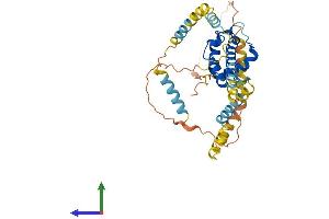 AlphaFold protein structure predicition of Human Recombinant SYAP1 Protein, UniprotID Q96A49 (SYAP1 Protein (AA 1-352) (His tag))