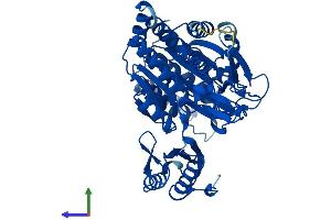 Protein Structure (PS) image for Phosphoglucomutase 3 (PGM3) (AA 1-542) protein (His tag) (ABIN7560759)