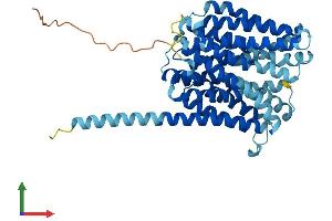 AlphaFold protein structure predicition of Mouse Recombinant Slc18b1 Protein, UniprotID D3Z5L6 (C6orf192 Protein (AA 1-459) (His tag))