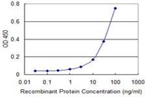 Detection limit for recombinant GST tagged AK1 is approximately 10ng/ml as a capture antibody. (Adenylate Kinase 1 antibody  (AA 1-194))