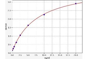 Topoisomerase II alpha ELISA Kit