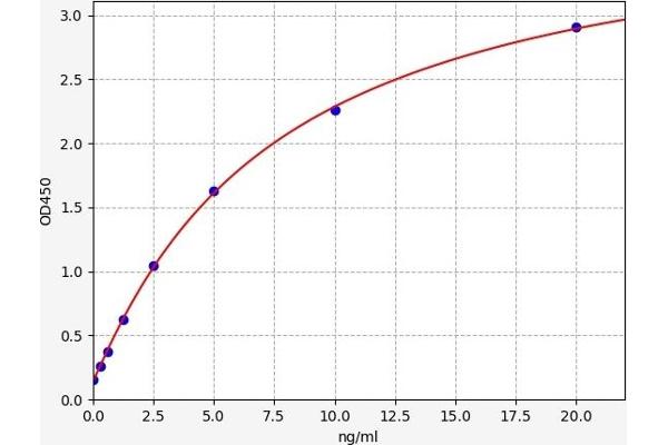 Topoisomerase II alpha ELISA Kit