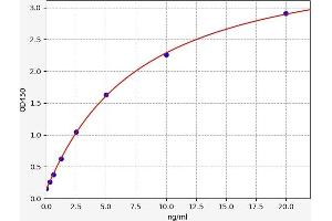 Typical standard curve (Topoisomerase II alpha ELISA Kit)