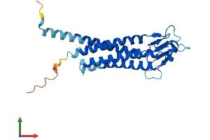 Protein Structure (PS) image for Lipoma HMGIC Fusion Partner-Like 5 (LHFPL5) (AA 1-219) protein (His tag) (ABIN7544536)
