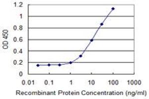 Detection limit for recombinant GST tagged STX12 is 0. (Syntaxin 12 antibody  (AA 108-206))