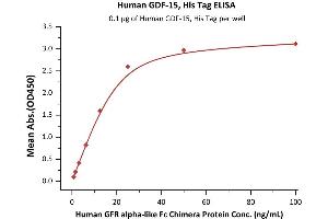 Immobilized Human GDF-15, His Tag (ABIN6950970,ABIN6952287) at 1 μg/mL (100 μL/well) can bind Human GFR al Fc Chimera Protein with a linear range of 0. (GDF15 Protein (AA 197-308) (His tag))