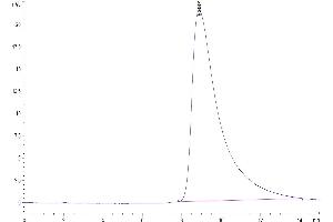 The purity of Biotinylated Human NKG2A&CD94 is greater than 95 % as determined by SEC-HPLC. (NKG2A & CD94 (AA 100-233) protein (His-Avi Tag,Biotin))