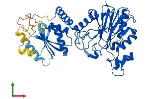 AlphaFold protein structure predicition of Human Recombinant LACC1 Protein, UniprotID Q8IV20