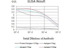 Black line: Control Antigen (100 ng),Purple line: Antigen (10 ng), Blue line: Antigen (50 ng), Red line:Antigen (100 ng) (MDM2 antibody  (AA 26-169))
