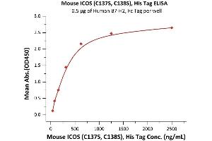 Immobilized Human B7-H2, Fc Tag (ABIN6731298,ABIN6809944) at 5 μg/mL (100 μL/well) can bind Mouse ICOS (C137S, C138S), His Tag (ABIN6731301,ABIN6809884) with a linear range of 39-625 ng/mL (QC tested). (ICOS Protein (AA 21-144) (His tag))