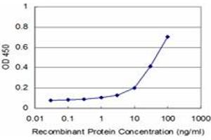 Detection limit for recombinant GST tagged NEK2 is approximately 3ng/ml as a capture antibody. (NEK2 antibody  (AA 331-445))