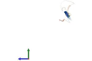 AlphaFold protein structure predicition of Mouse Recombinant Iqcg Protein, UniprotID Q80W32 (IQCG Protein (AA 1-419) (His tag))