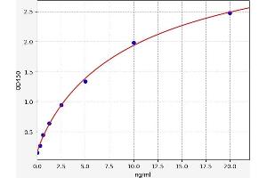 Typical standard curve (EN2 ELISA Kit)