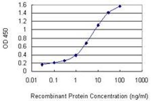 Detection limit for recombinant GST tagged BMX is 0. (BMX antibody  (AA 150-280))