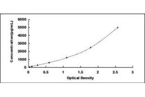 Typical standard curve (IFI35 ELISA Kit)