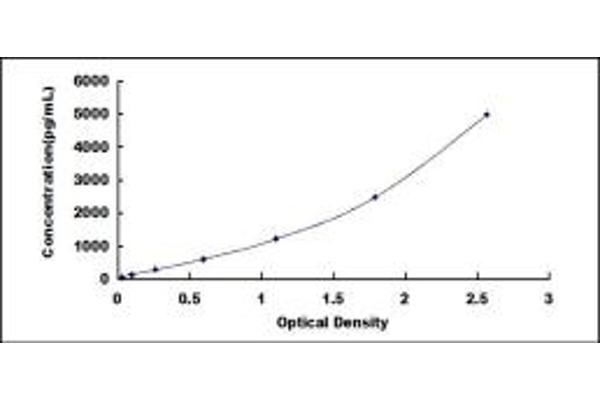 IFI35 ELISA Kit