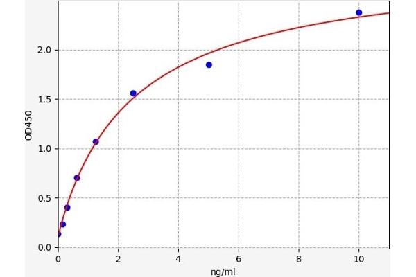 HAS1 ELISA Kit