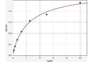 Typical standard curve (HAS1 ELISA Kit)