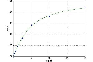 Paternally Expressed 10 (PEG10) ELISA Kit