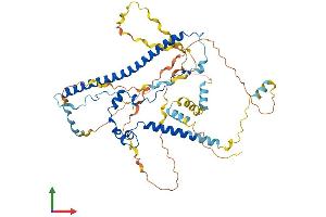 Protein Structure (PS) image for WAS Protein Family, Member 2 (WASF2) (AA 1-498) protein (His tag) (ABIN7545149)