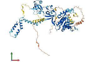 AlphaFold protein structure predicition of Human Recombinant MPP4 Protein, UniprotID Q96JB8 (MPP4 Protein (AA 1-637) (His tag))