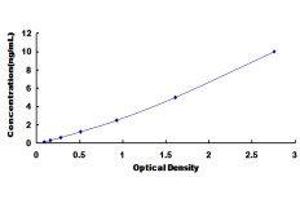 ELISA image for Sphingosine-1-Phosphate Receptor 1 (S1PR1) ELISA Kit (ABIN418622)