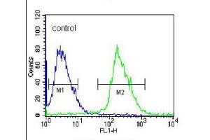 Flow cytometric analysis of 293 cells (right histogram), compared to a negative control cell (left histogram), was performed with KLK6 polyclonal antibody  and FITC-conjugated goat-anti-rabbit secondary antibody. (Kallikrein 6 antibody  (N-Term))
