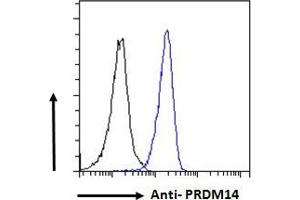 ABIN625828 Flow cytometric analysis of paraformaldehyde fixed HeLa cells (blue line), permeabilized with 0. (PRDM14 antibody  (AA 414-427))