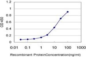 Detection limit for recombinant GST tagged USP3 is approximately 0. (USP3 antibody  (AA 421-520))