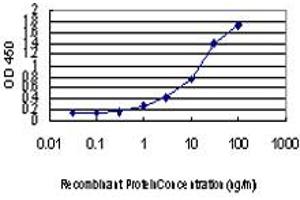 Detection limit for recombinant GST tagged ENC1 is approximately 0. (ENC1 antibody  (AA 17-98))