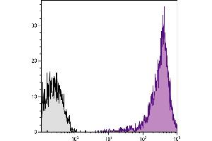 Human peripheral blood lymphocytes were stained with Mouse Anti-Human CD44-PE/CY7. (CD44 antibody  (APC))