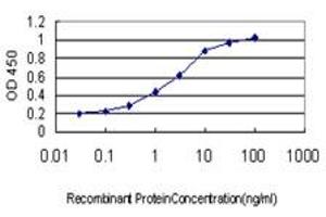 Detection limit for recombinant GST tagged TEK is approximately 0. (TEK antibody  (AA 701-800))