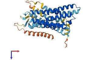AlphaFold protein structure predicition of Human Recombinant OR13C3 Protein, UniprotID Q8NGS6 (OR13C3 Protein (AA 1-347) (His tag))