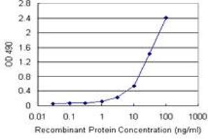 Sandwich ELISA detection sensitivity ranging from 1 ng/mL to 100 ng/mL. (SMAD3 (Human) Matched Antibody Pair)