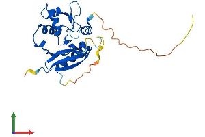AlphaFold protein structure predicition of Mouse Recombinant Mgmt Protein, UniprotID P26187 (MGMT Protein (AA 1-211) (His tag))