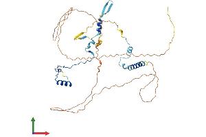 AlphaFold protein structure predicition of Mouse Recombinant Gpatch4 Protein, UniprotID Q3TFK5