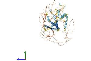 AlphaFold protein structure predicition of Human Recombinant C16orf96 Protein, UniprotID A6NNT2 (C16orf96 Protein (AA 1-1141) (His tag))