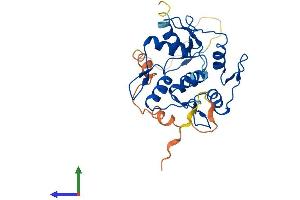 AlphaFold protein structure predicition of Human Recombinant ZNF32 Protein, UniprotID P17041
