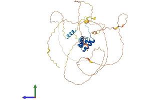 AlphaFold protein structure predicition of Human Recombinant EVX2 Protein, UniprotID Q03828