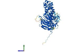 AlphaFold protein structure predicition of Human Recombinant KLHL15 Protein, UniprotID Q96M94