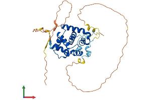 Protein Structure (PS) image for Speedy Homolog A (SPDYA) (AA 1-310) protein (His tag) (ABIN7557464)