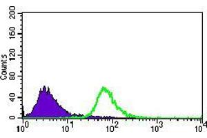 Flow cytometric analysis of HeLa cells using BMPR1A mouse mAb (green) and negative control (purple). (BMPR1A antibody  (AA 179-378))