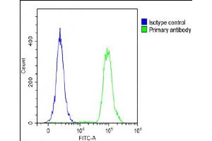 Overlay histogram showing A431 cells stained with E(green line). (beta 2 Adrenergic Receptor antibody  (AA 345-373))