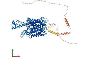 AlphaFold protein structure predicition of Human Recombinant SLC6A16 Protein, UniprotID Q9GZN6