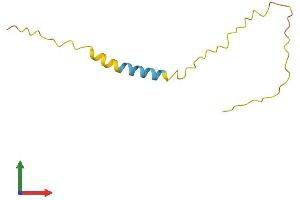 AlphaFold protein structure predicition of Human Recombinant PRAC2 Protein, UniprotID D3DTV9 (PRAC2 Protein (AA 1-90) (His tag))