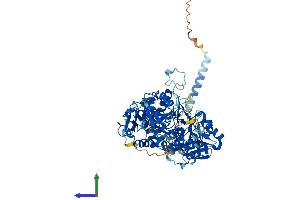 Protein Structure (PS) image for Exostosin 2 (EXT2) (AA 1-718) protein (His tag) (ABIN7556721)