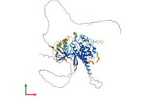 AlphaFold protein structure predicition of Human Recombinant TESK2 Protein, UniprotID Q96S53 (TESK2 Protein (AA 1-571) (His tag))