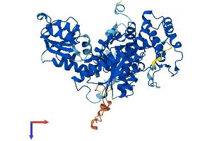 STXBP1 Protein (AA 1-594) (His tag)