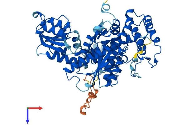 STXBP1 Protein (AA 1-594) (His tag)